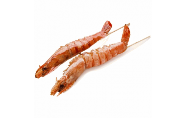 Y9 Gambas