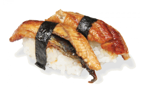 SU8 Unagi